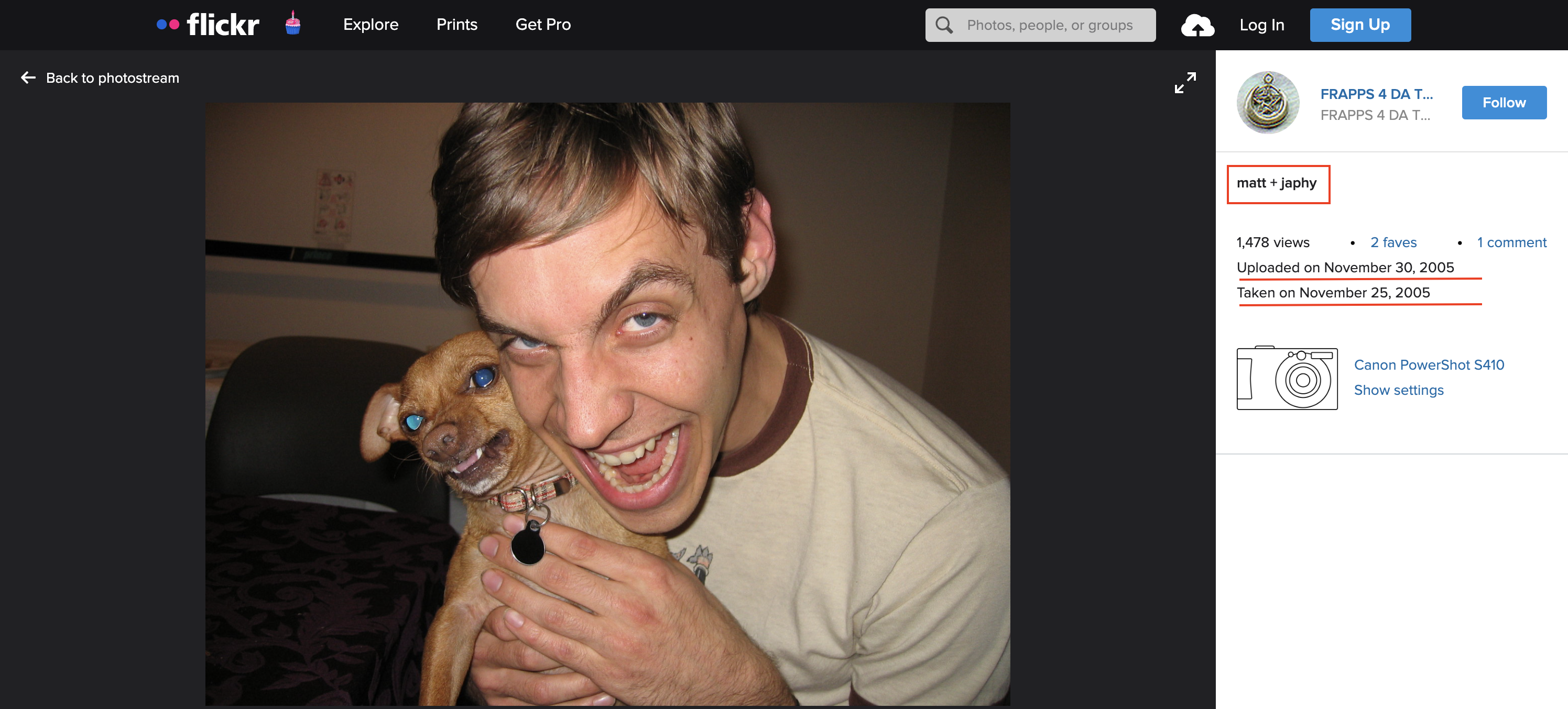 Japhy: The Dog Behind the Meme Icon